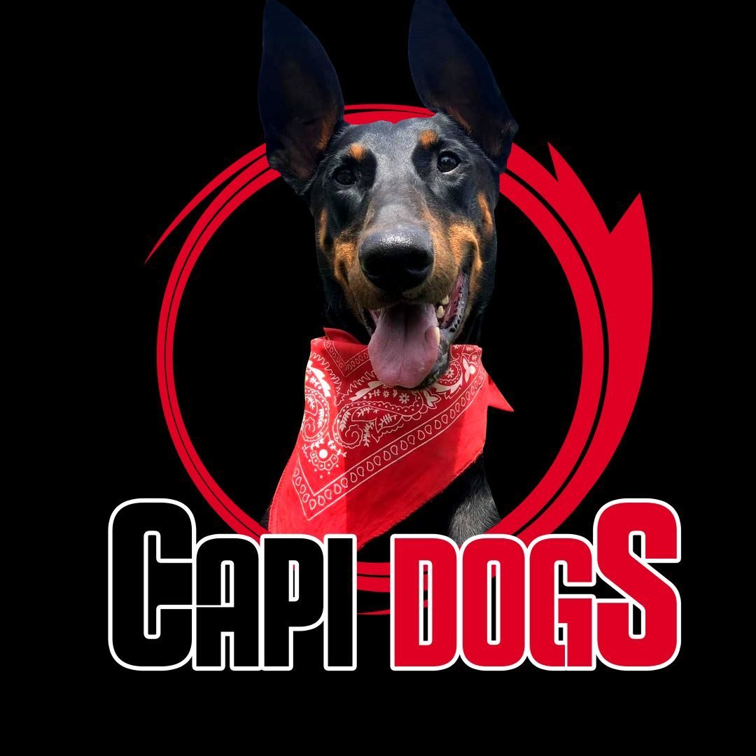 Capidogs School