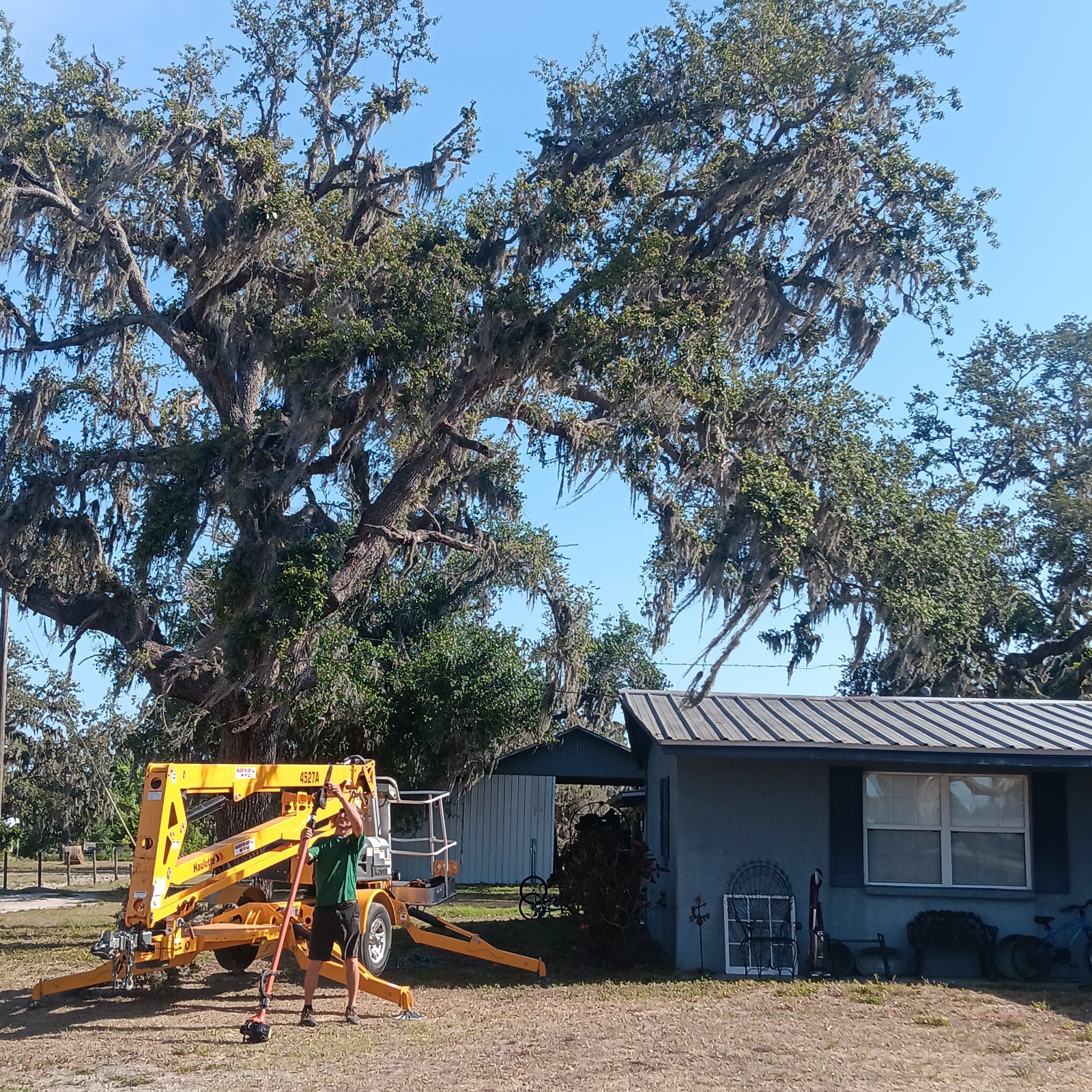 Lee Parker Stump Grinding & tree service LLC | Parrish FL