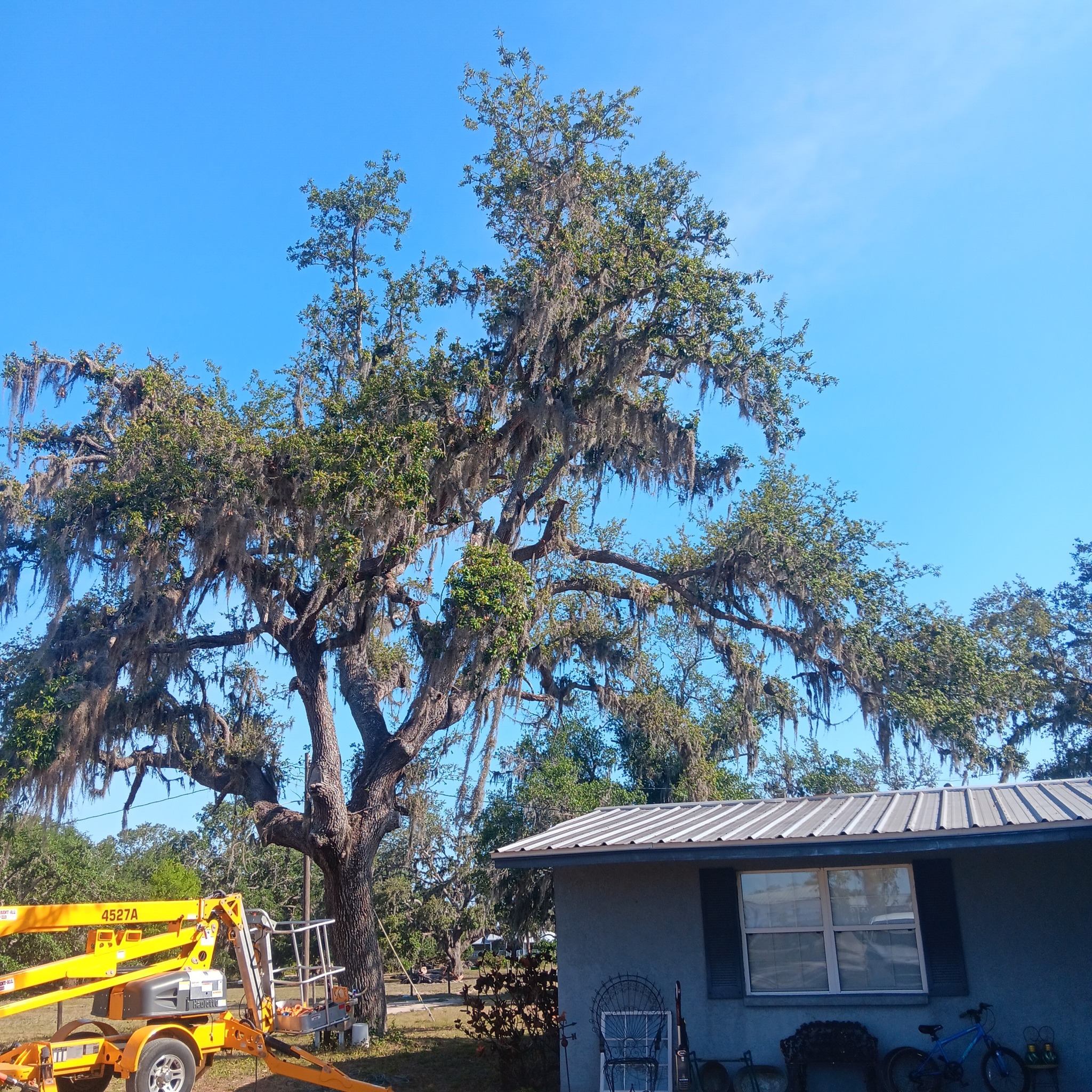 Lee Parker Stump Grinding & tree service LLC | Parrish FL