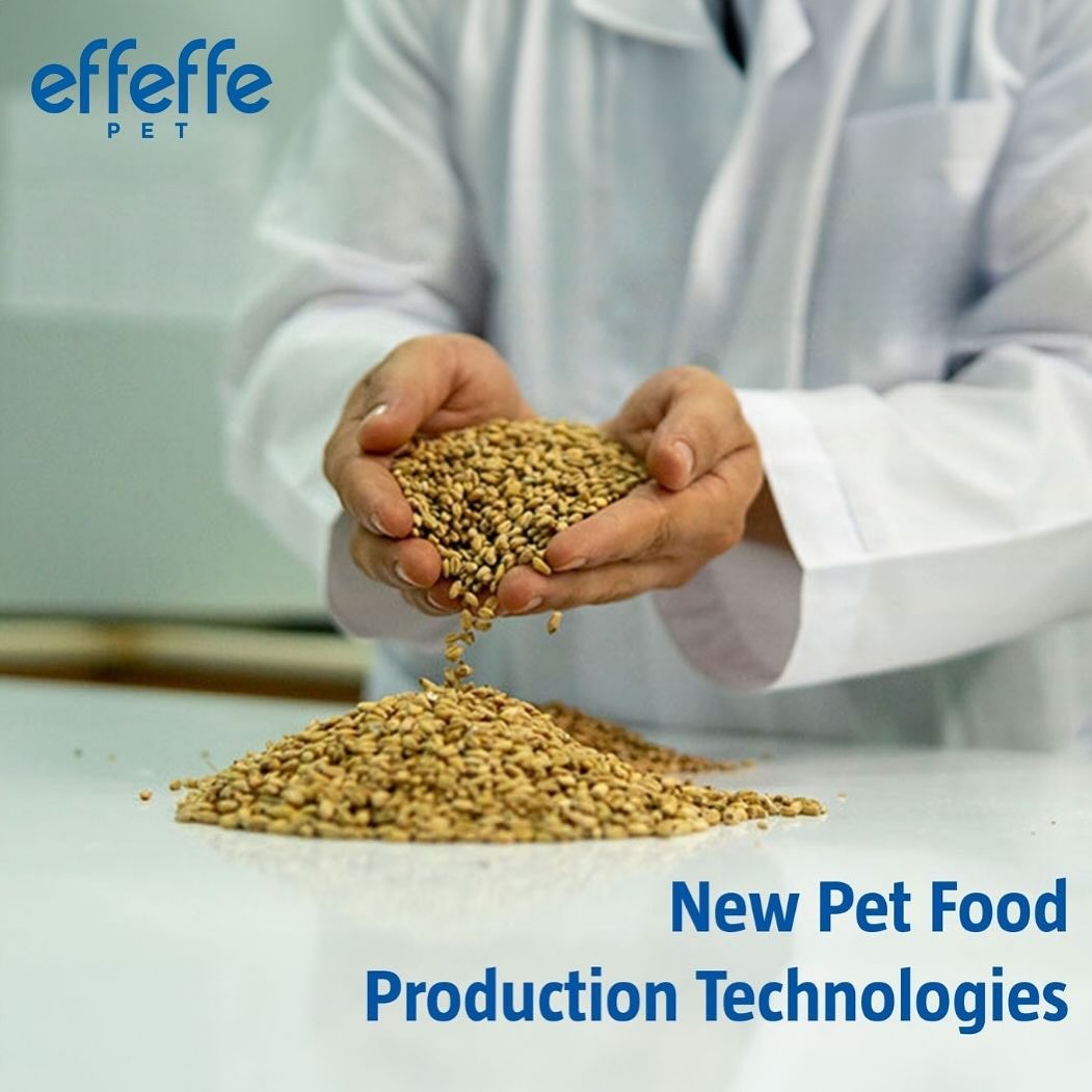 Effeffe Pet Food International