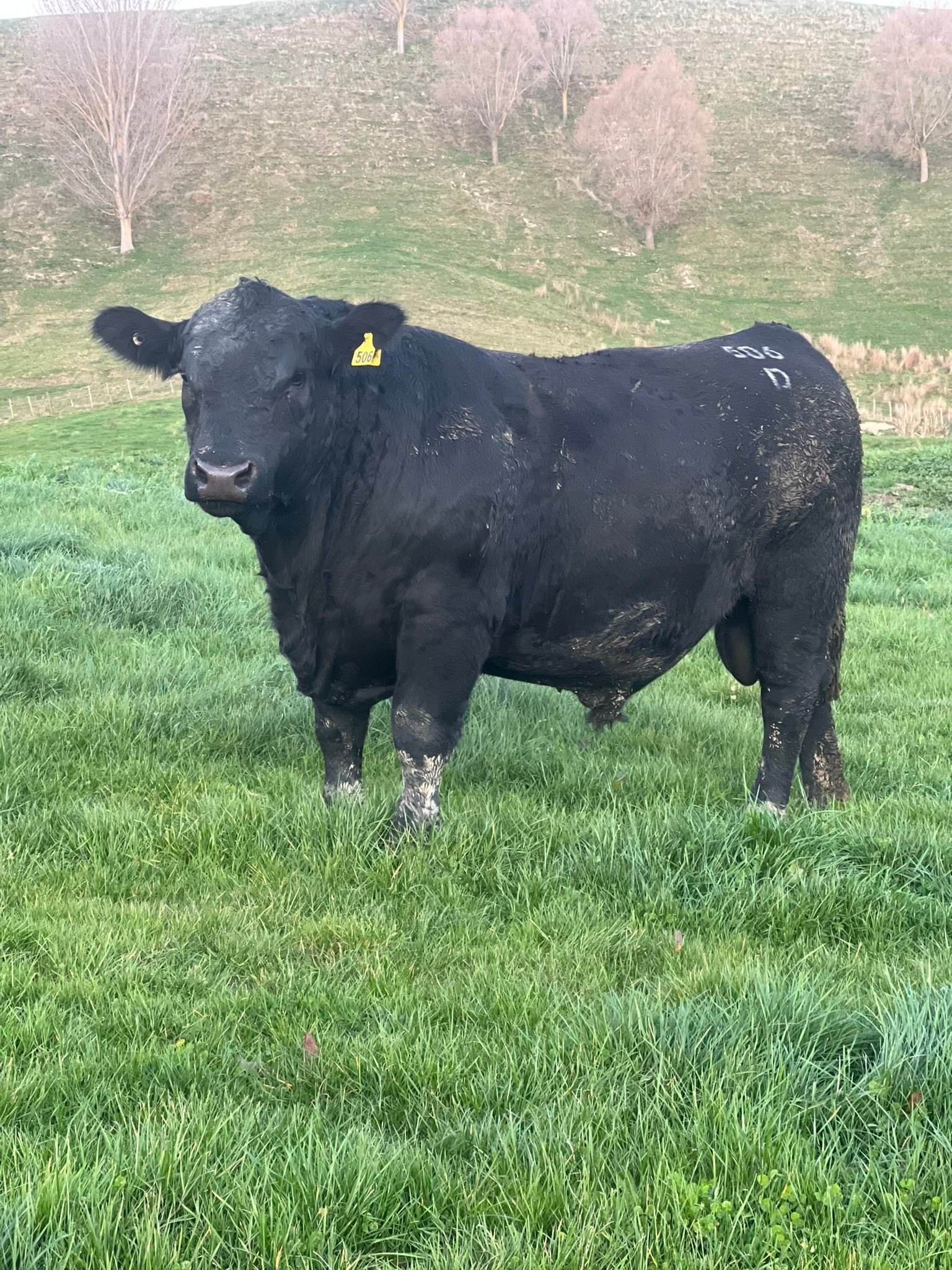 Elgin - Everything is ready for sale day tomorrow. Looking forward to ...