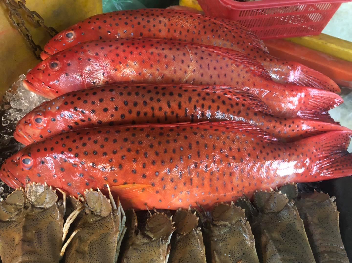 Selamat Hari Raya Aidil Adha,... - Uncle Don Fish Market