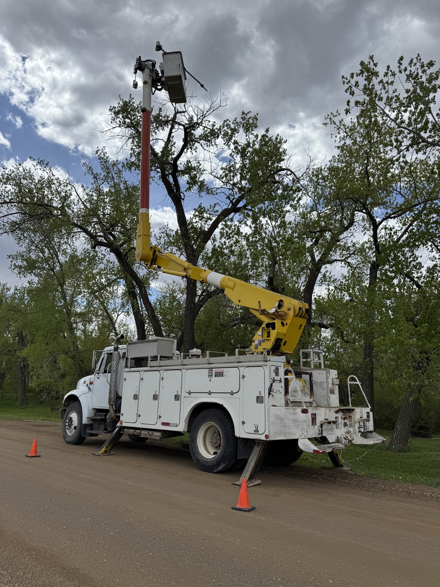 Al's Tree Service