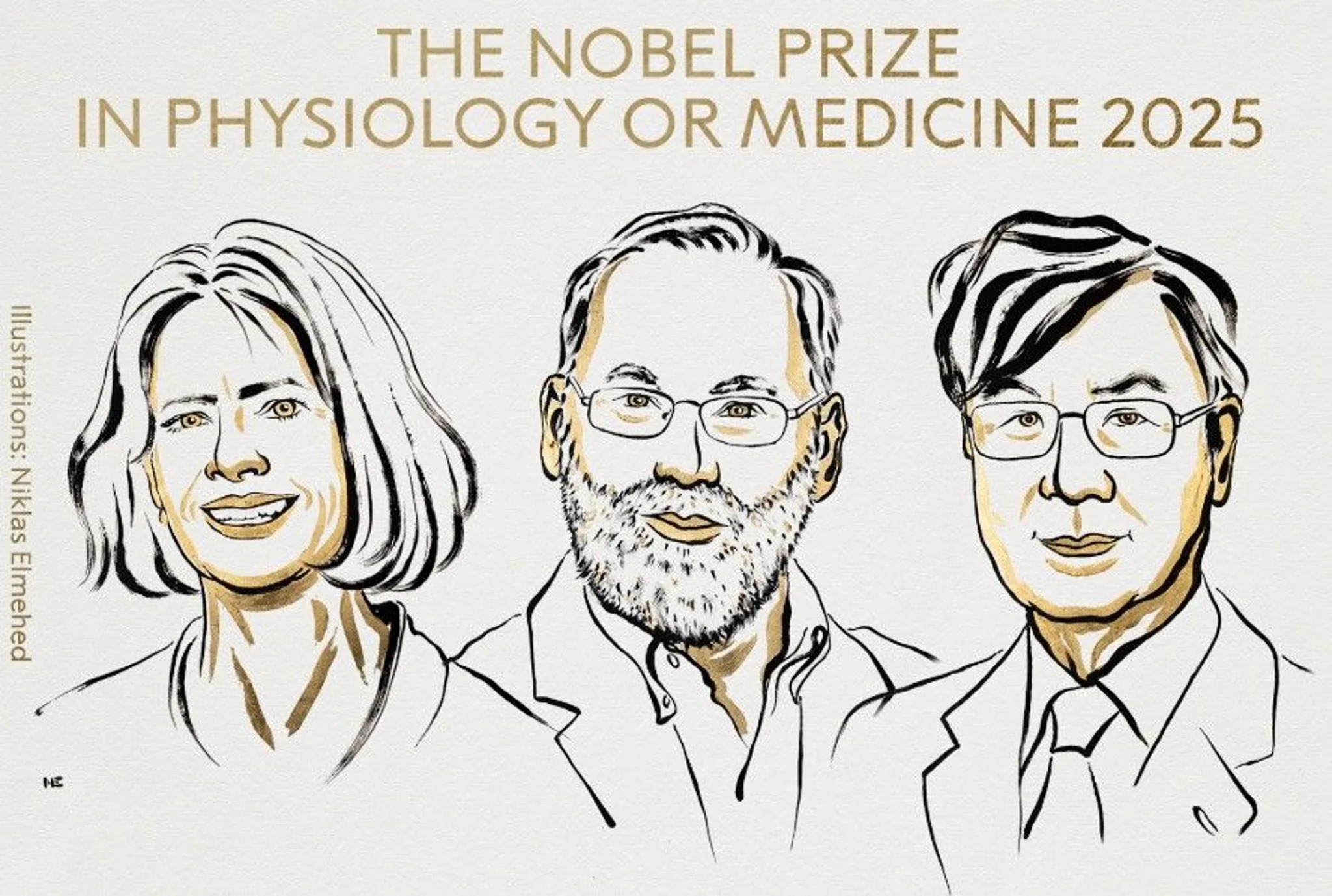 QIAGEN - The 2025 Nobel Prize in Physiology or Medicine highlights how ...