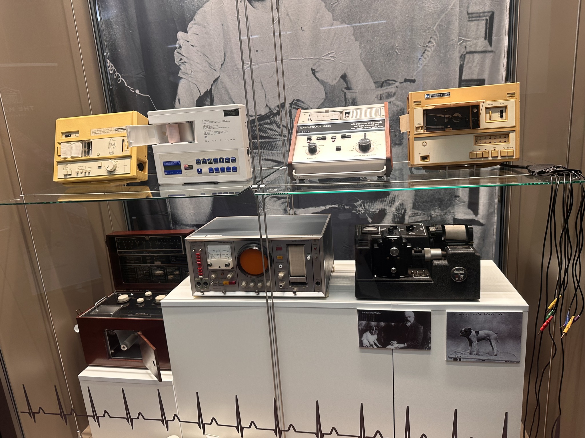 The Hub - ECG stands for electrocardiogram. ECG machines measure the ...