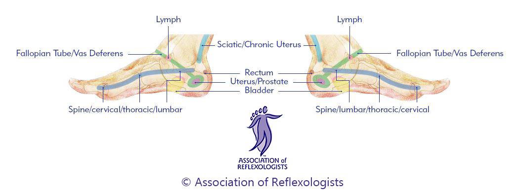 Theresa Thompson Reflexology