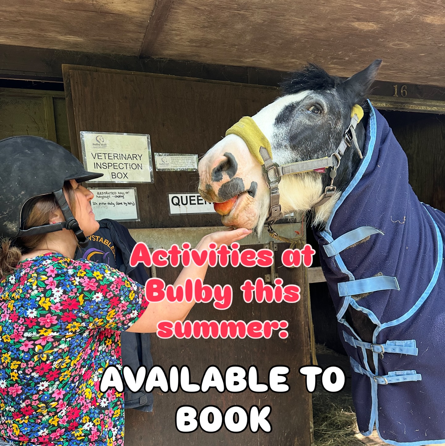 bulby-equestrian-centre-bourne