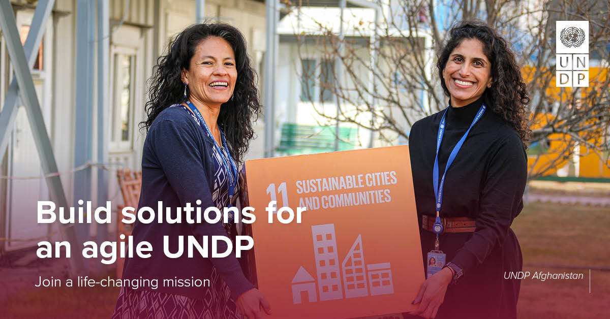 UNDP Careers - 📢 UNDP is hiring! ️ Do you have a... | Facebook