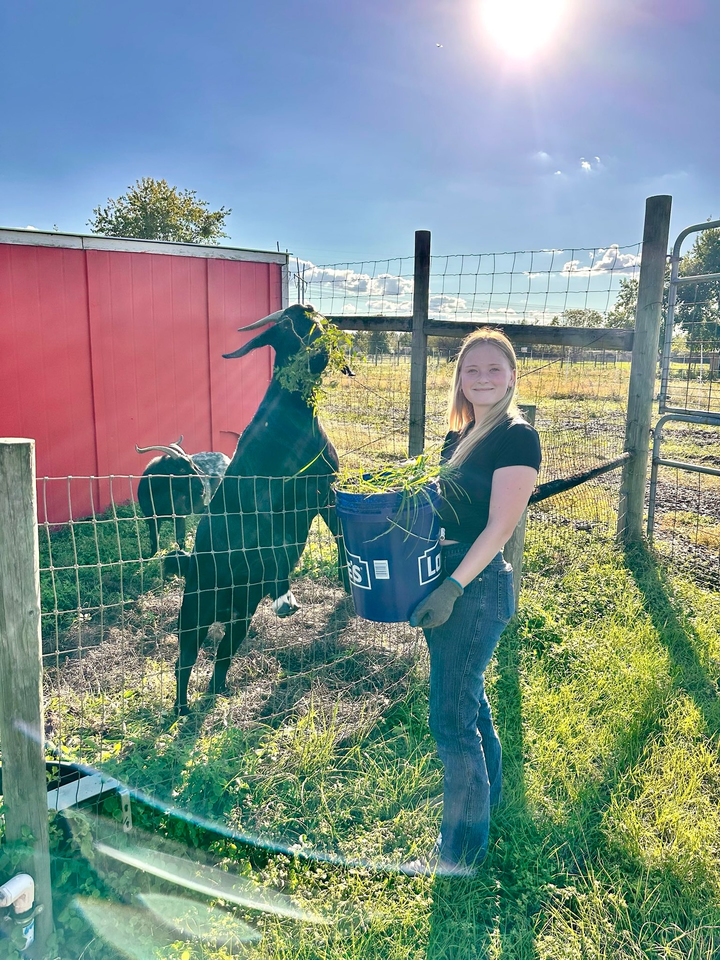 Seamark Ranch | Green Cove Springs FL