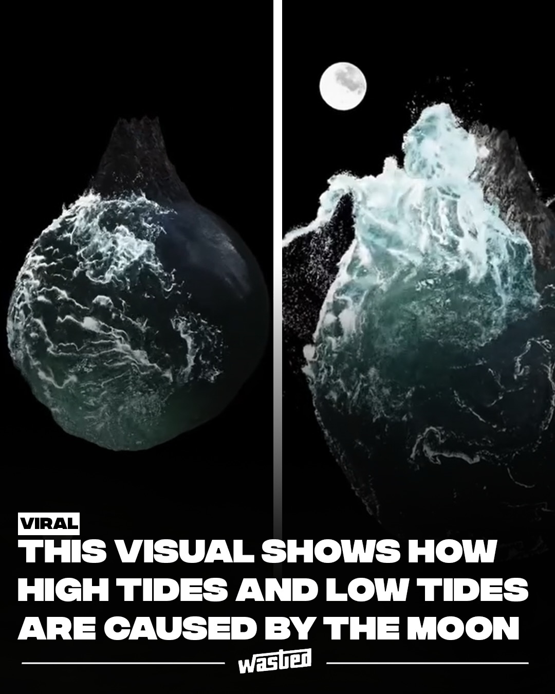 WASTED - The Moon’s gravitational pull creates tides,... | Facebook
