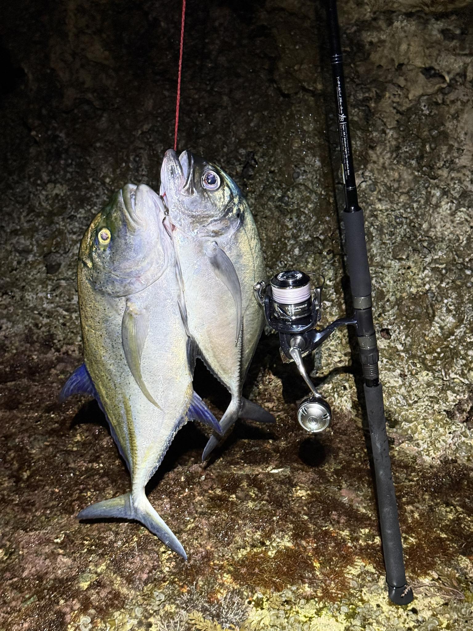new st croix rods 2021 St. Premier SCPC66MHF2 Casting Rod Color:Red Sunrise Lake Erie Slammer The Victory spinning rod Largemouth Bass