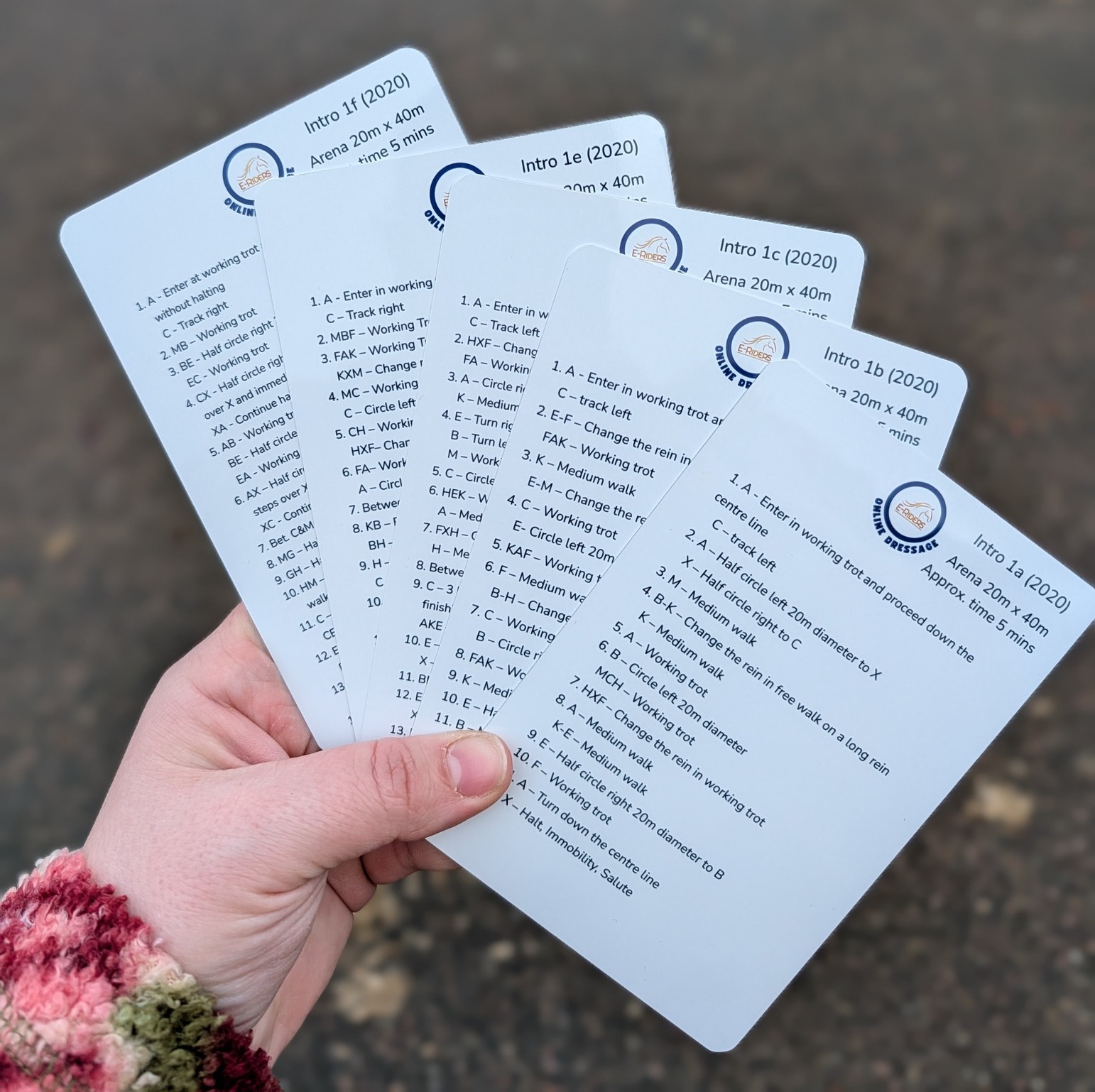 E-Riders - 🎖️ E-RIDER TEST PLAQUES NOW AVAILABLE! 🎖️ An... | Facebook