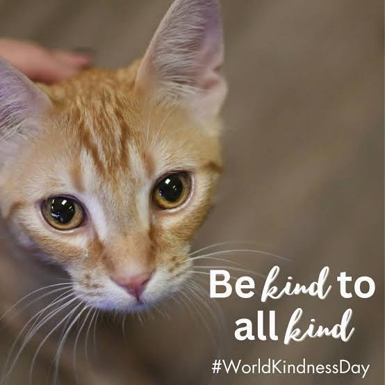 Friends - 💛 Kindness starts right here — in our own neighborhoods. On ...