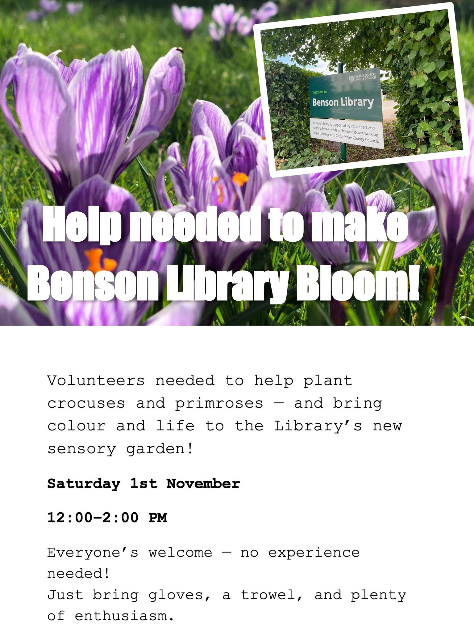 Friends of Benson... - Friends of Benson Library, Oxfordshire