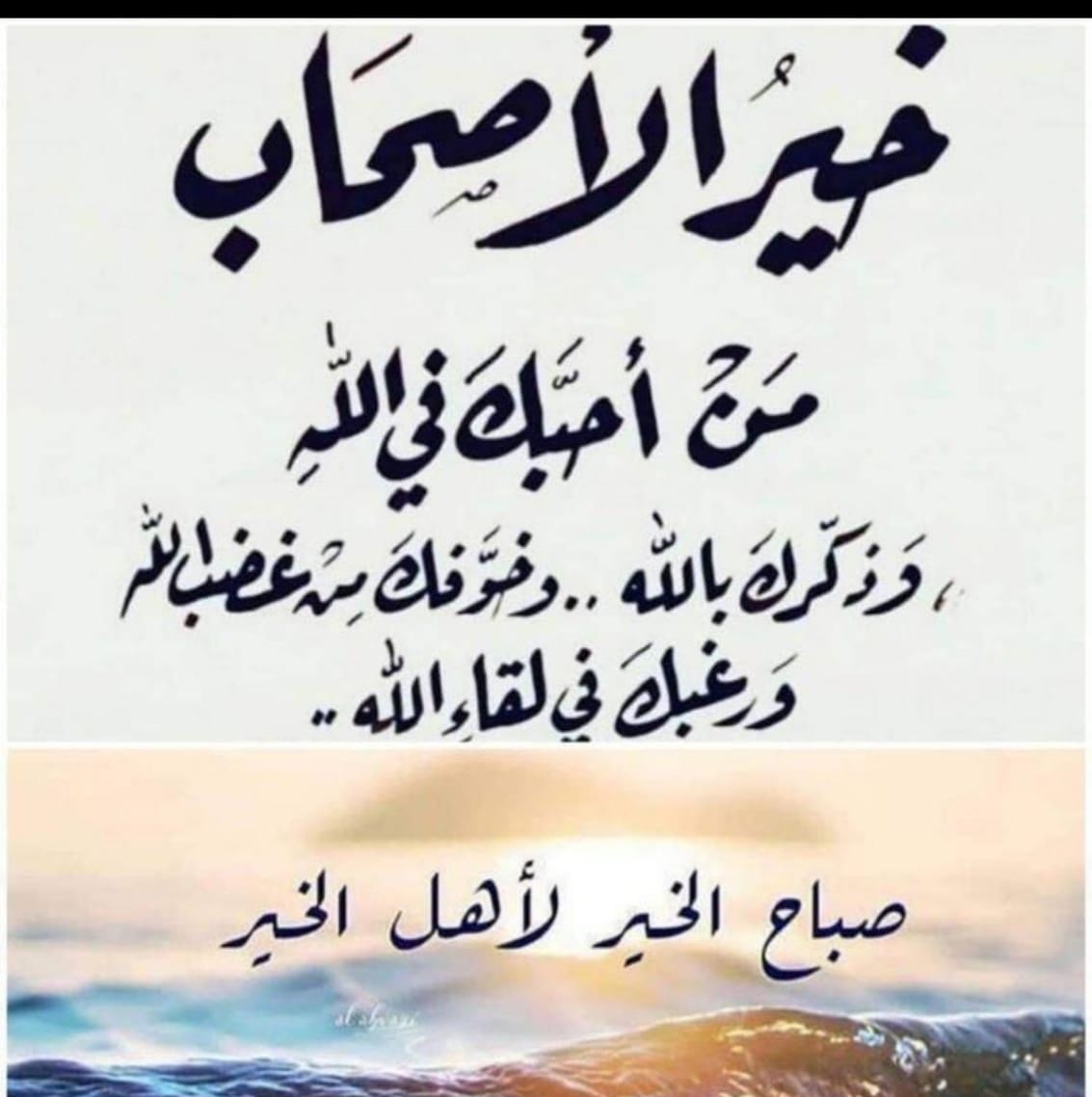Rafat Abdo