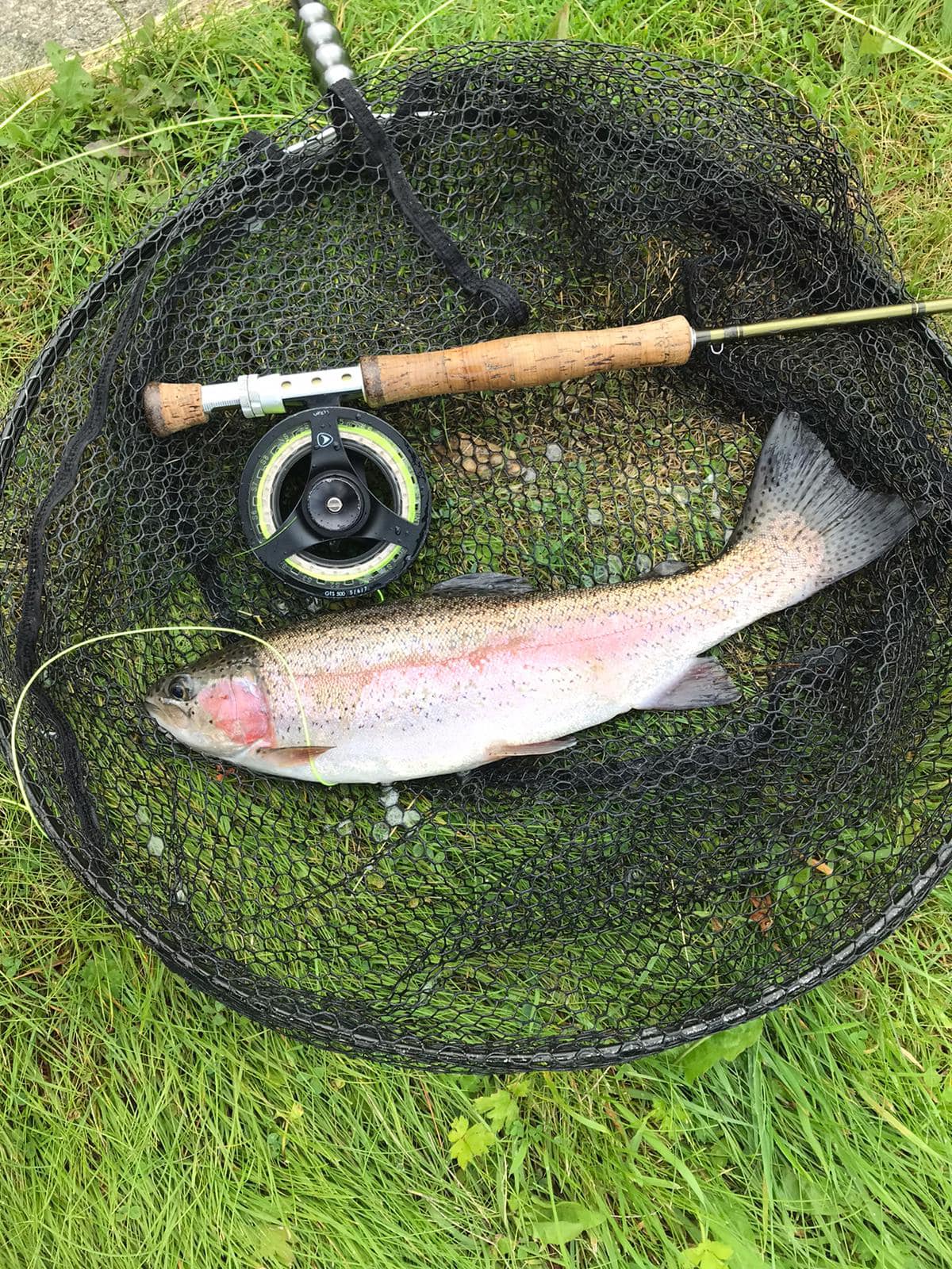 Graiglwyd Springs Fly... - Graiglwyd Springs Fly Fishery