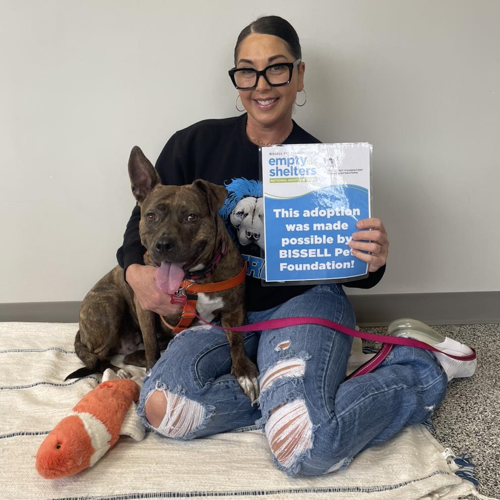When Sasha’s owners had no choice but... - Detroit Dog Rescue | Facebook