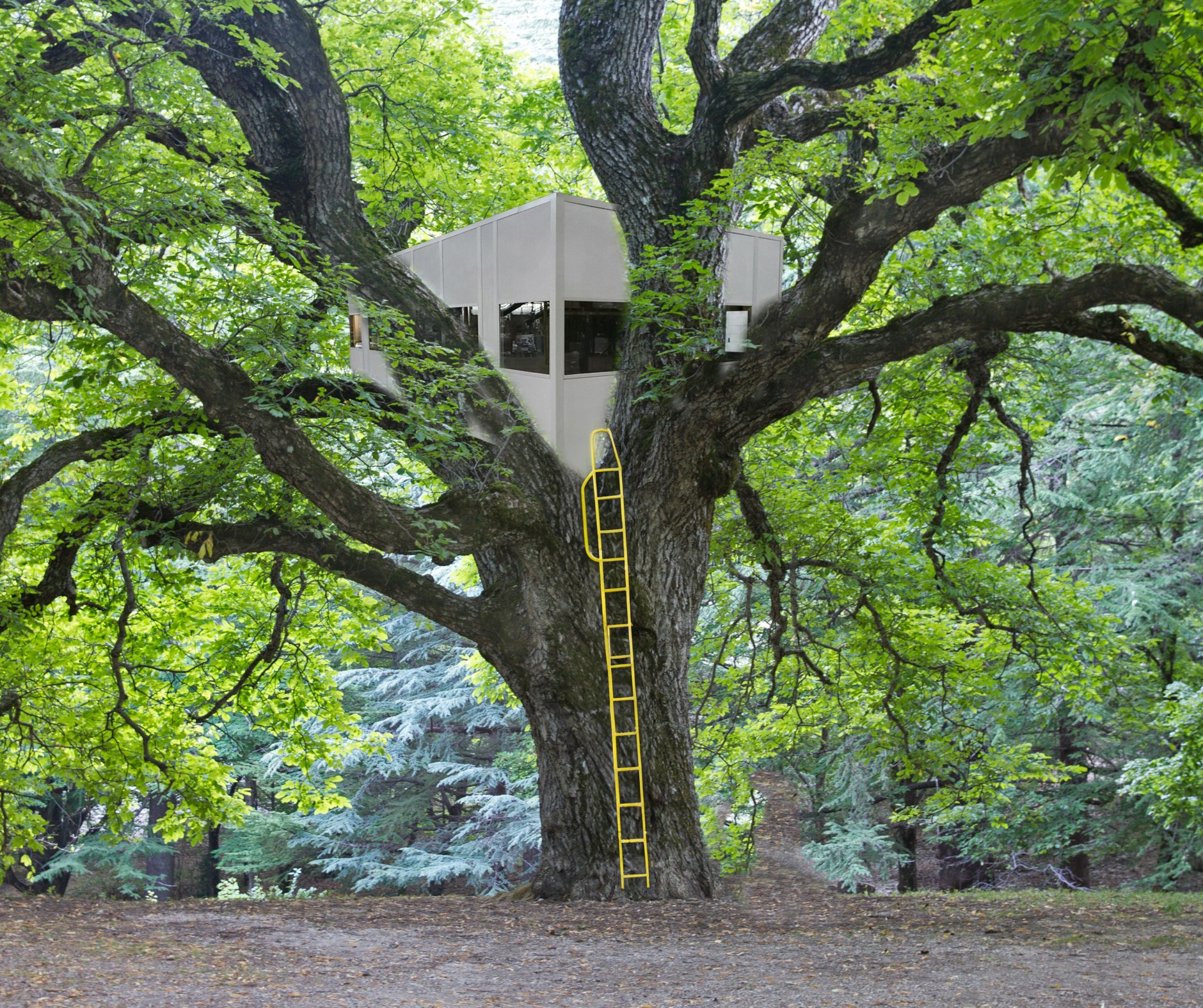 Panel - Introducing Panel Built’s latest innovation: Modular Treehouses ...