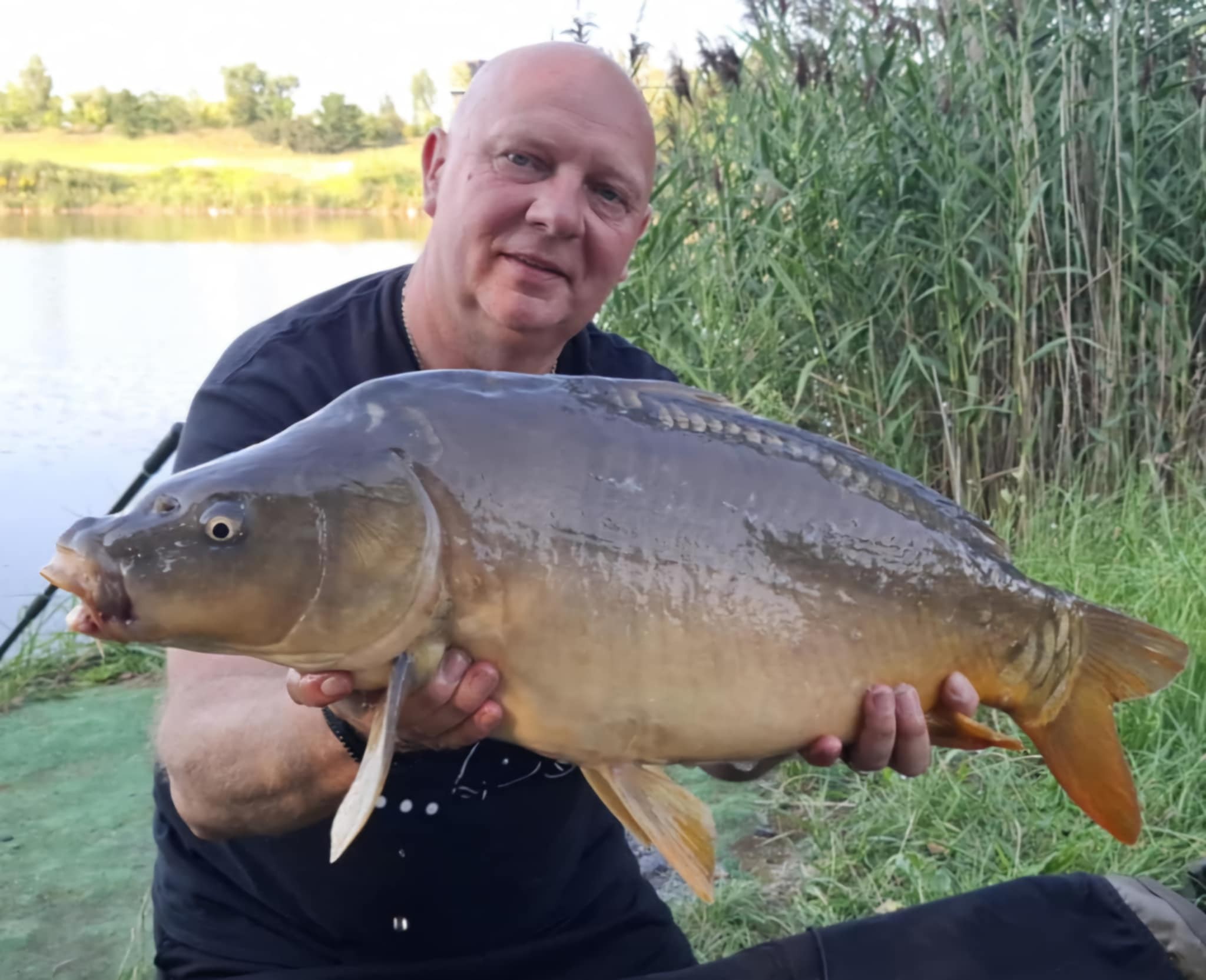 Genesis Carp - #COMODO to jedyny leadcore na rynku z rdzeniem z ...