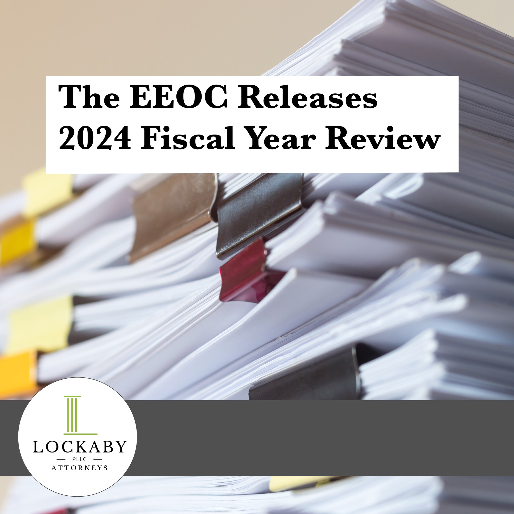 Lockaby PLLC - The EEOC's 2024 Annual Report highlights... | Facebook