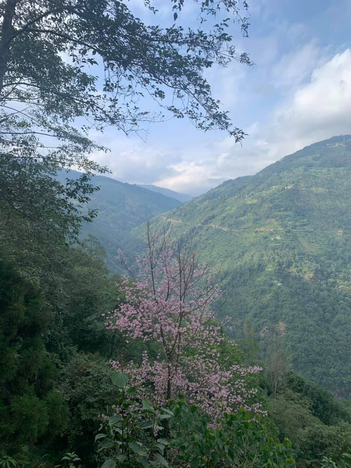 Rimbick - Gateway to Singhalila