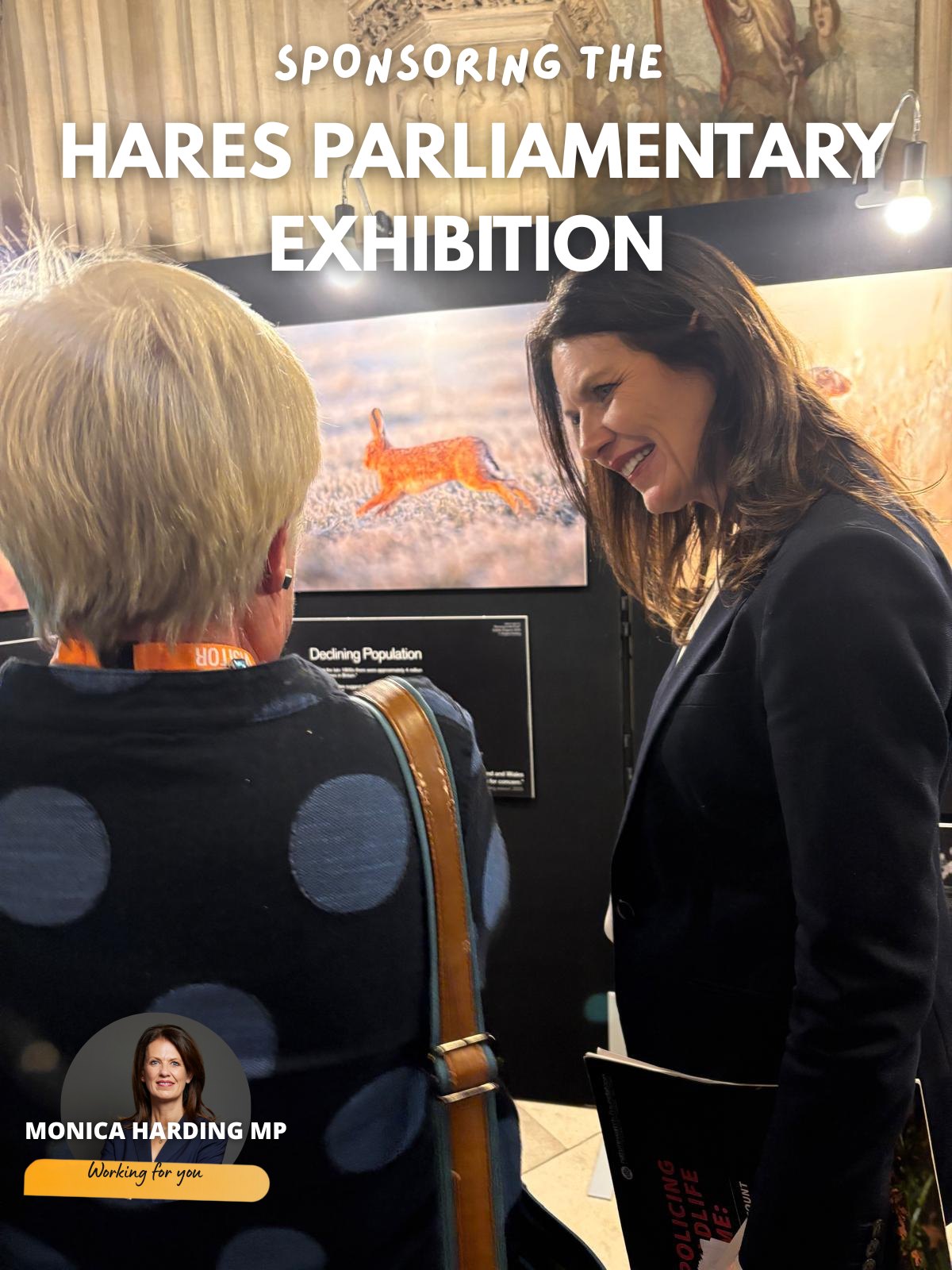 Monica Harding MP for Esher & Walton