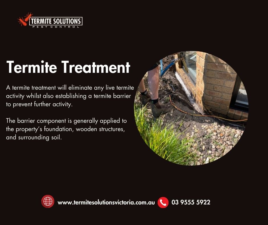Termite - 🚨 Termite Treatment Time! 🚨 Hey friends! Just wanted to share ...