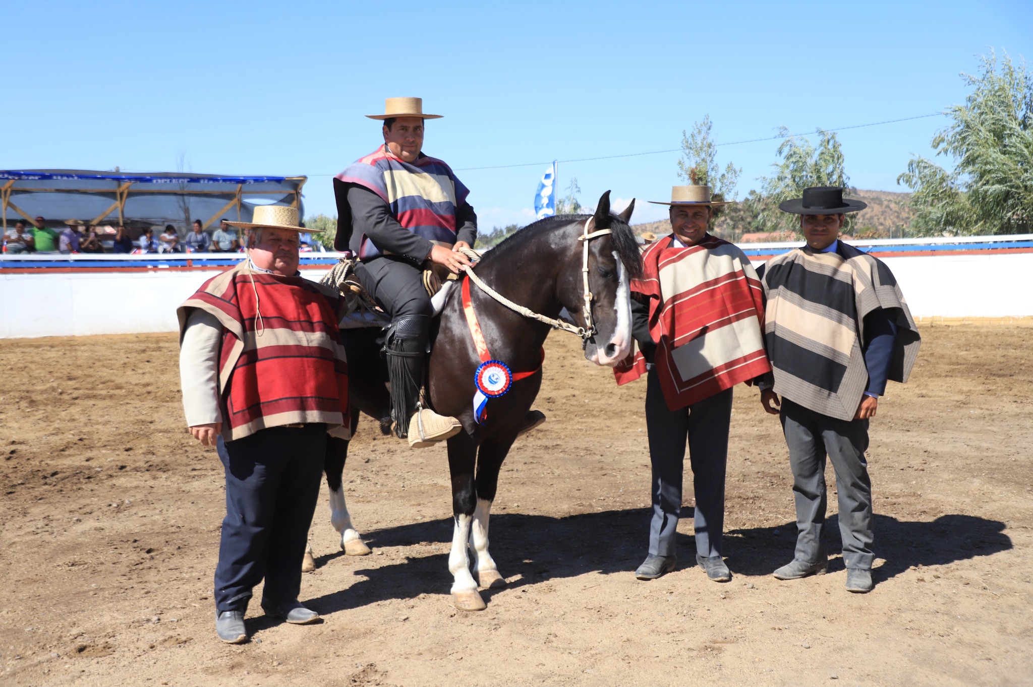 RodeoTalca.cl - RODEO CLUB MAULE DUAO JOSELO LOGRÓ EL TRIUNFO EN ...