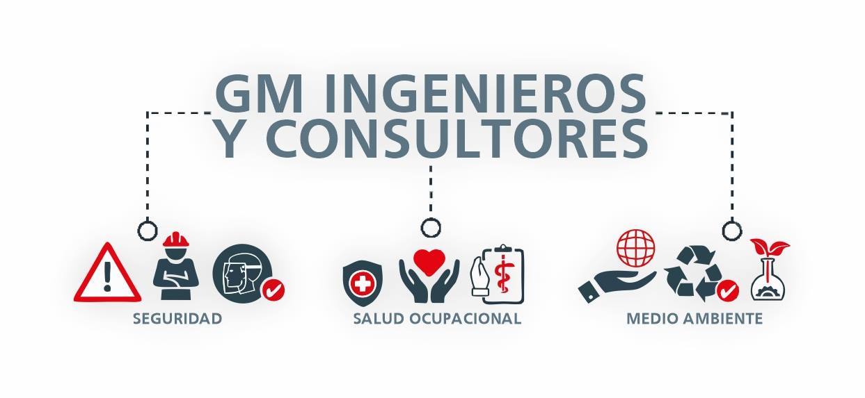 Grupo de Gm Ingenieros y Consultores INGENIERIA, SEGURIDAD, MEDIO ...