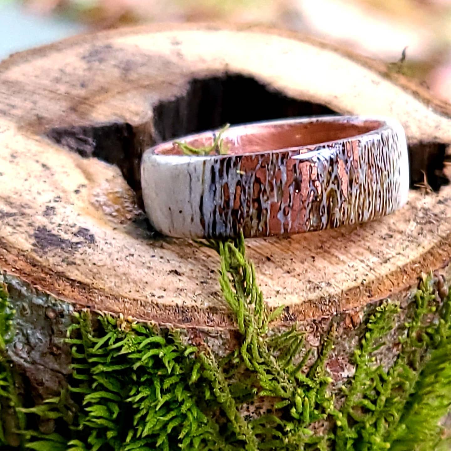 Steel Roots Design