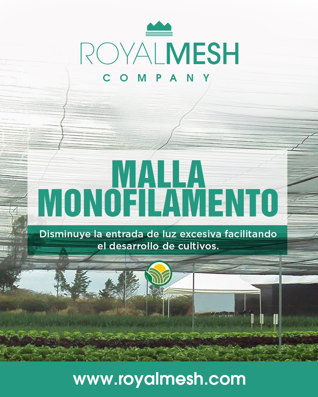 Royal Mesh | Zapopan