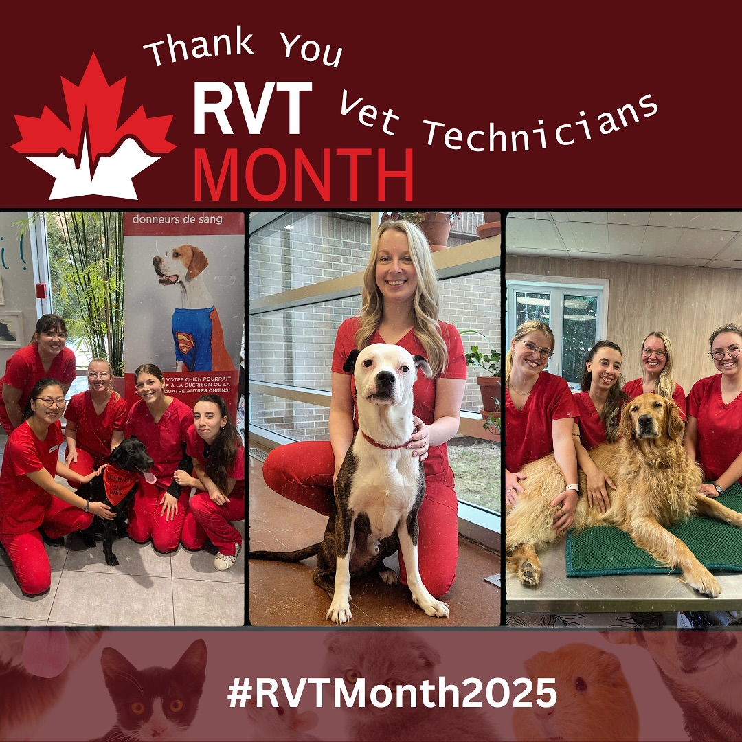 Canadian Animal Blood Bank... - Canadian Animal Blood Bank