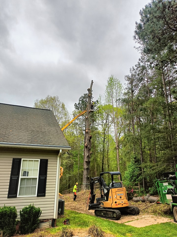 Out on a Limb Tree Service Rock Hill | Rock Hill SC