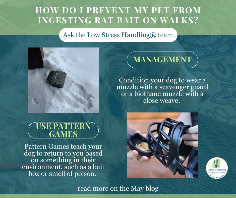 Whole Health Veterinary Care | Laurel MD