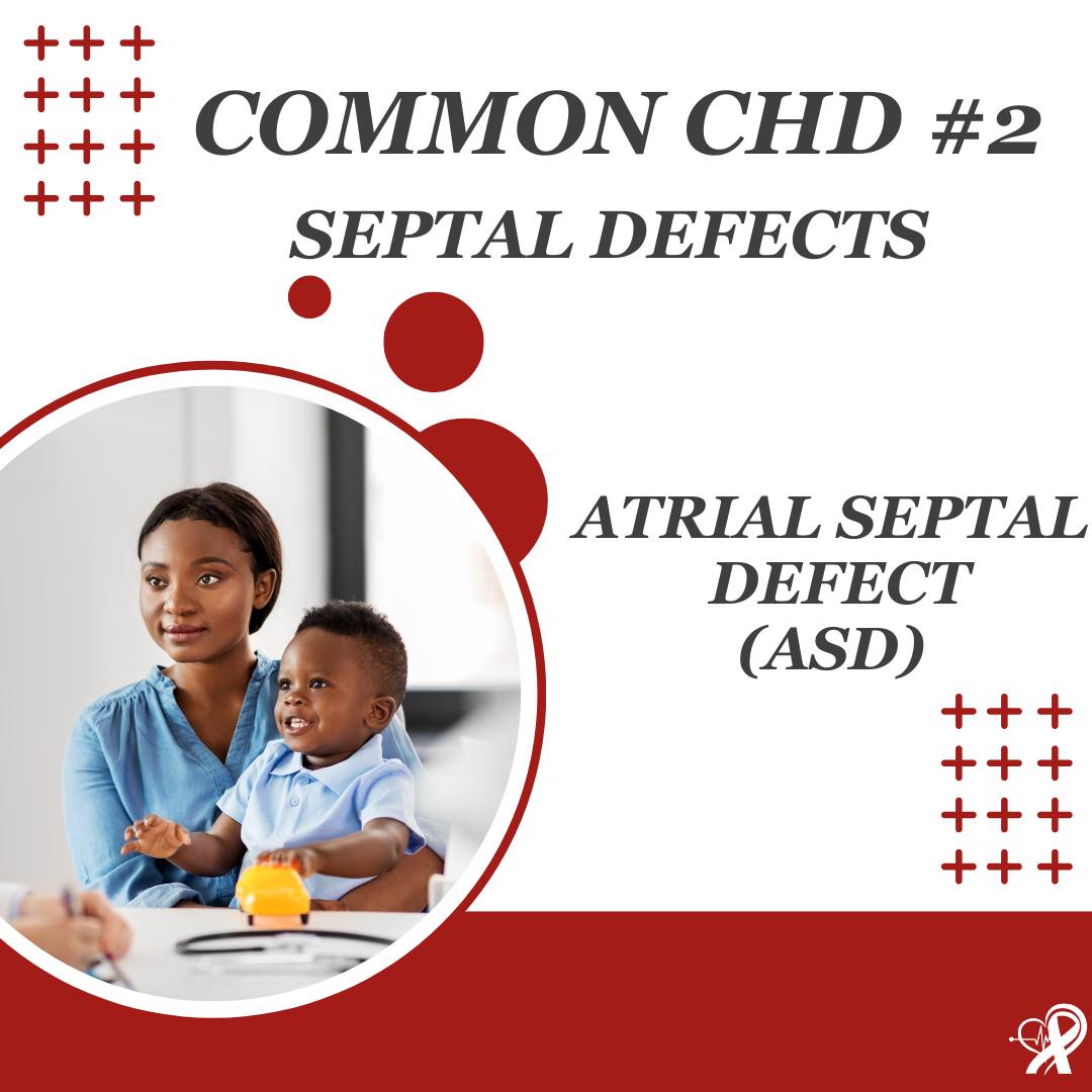 Expecting - The second common CHD is called septal defects. These ...