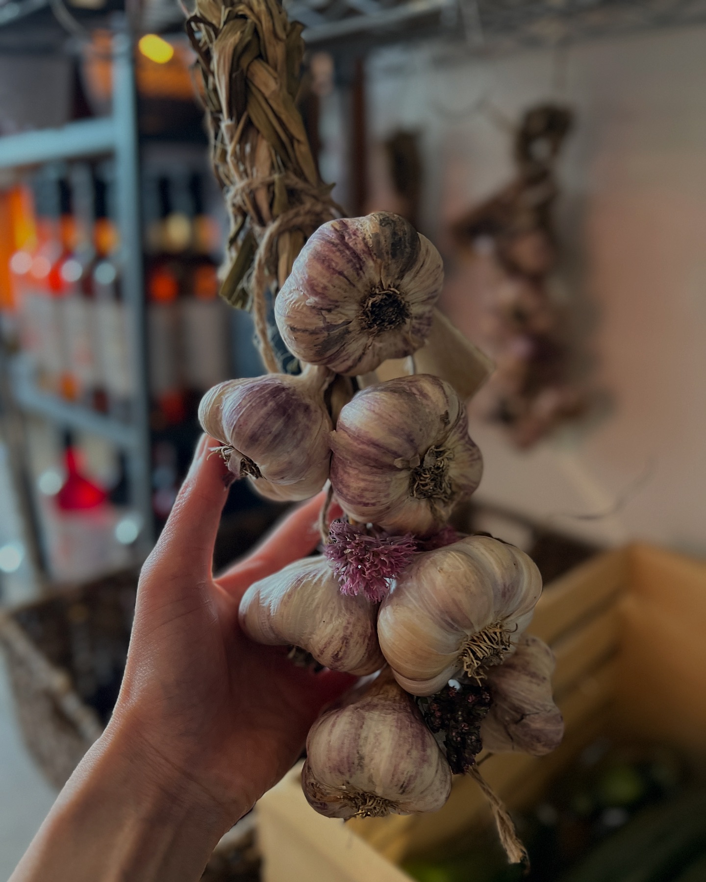 🧄 Exploring our local garlic... - The Little Market Box | Facebook