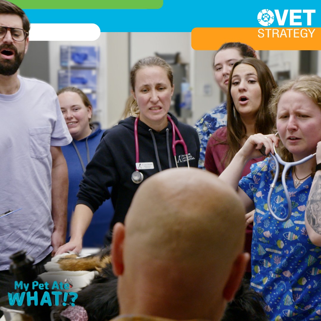 VetStrategy - We are thrilled to announce that many of our practices ...