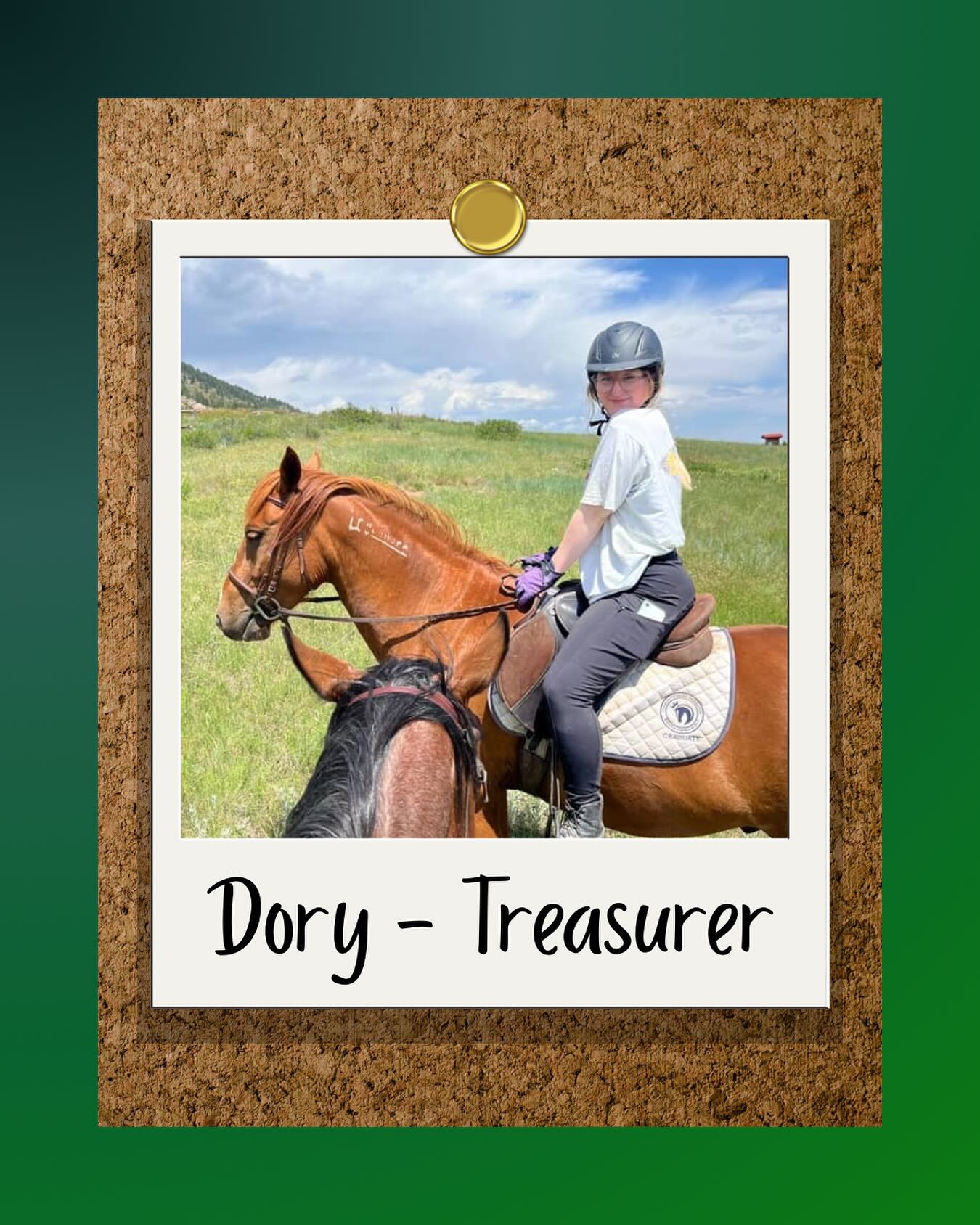 Meet... - English Riding Club at Colorado State University | Facebook
