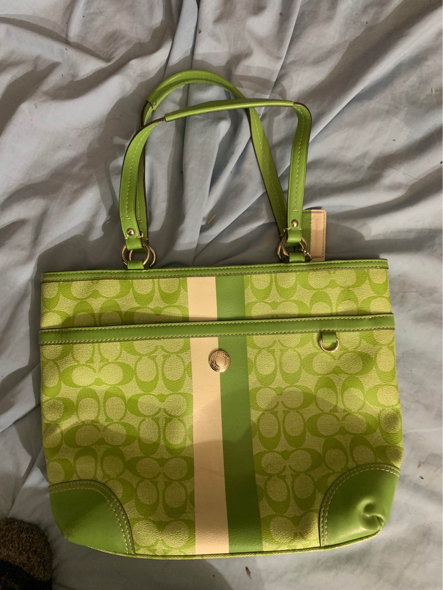Coach Signature Heritage Stripe Handbag Purse Tote F14477 green/white