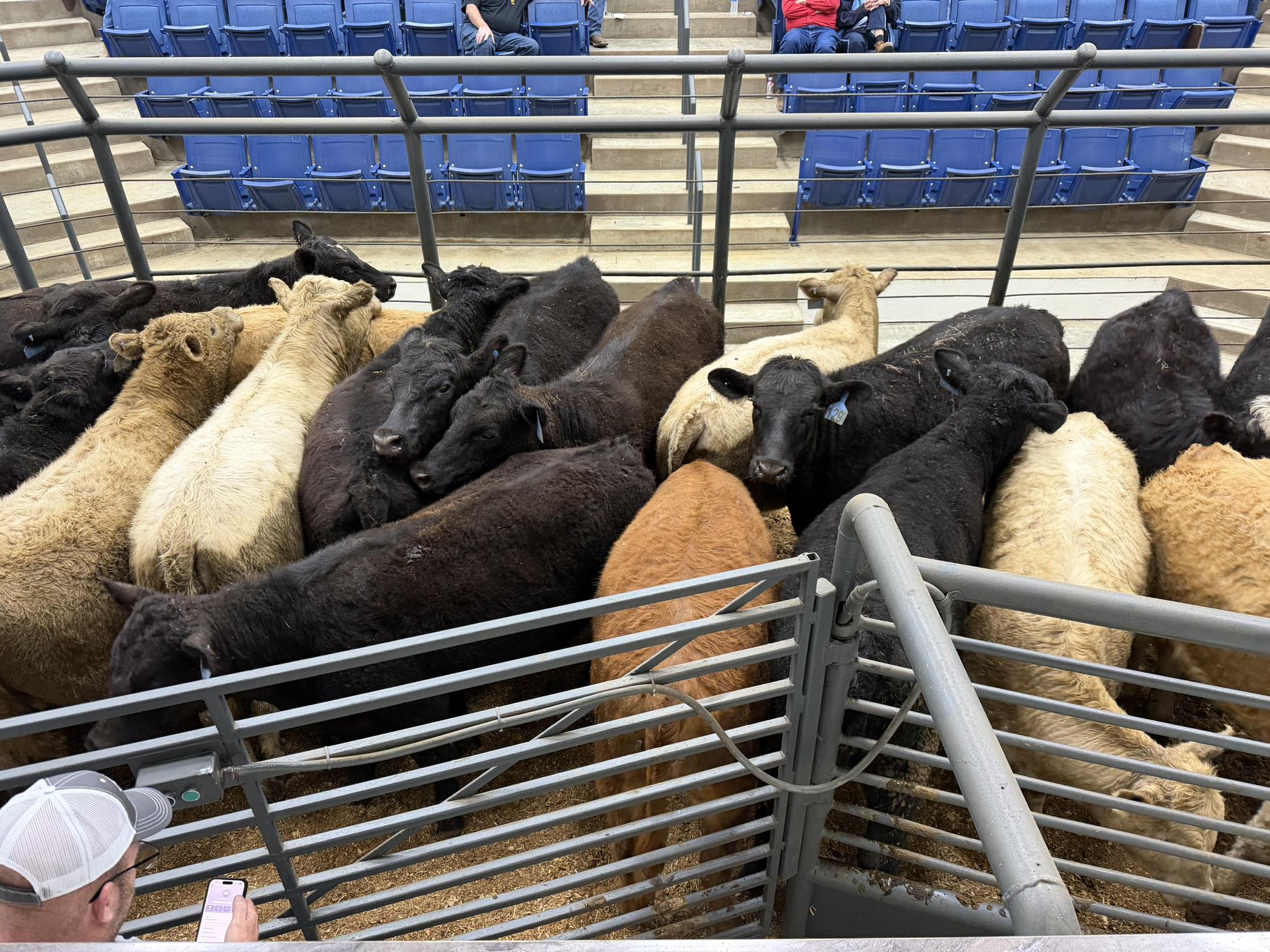 Russell County Stockyard | Russell Springs KY