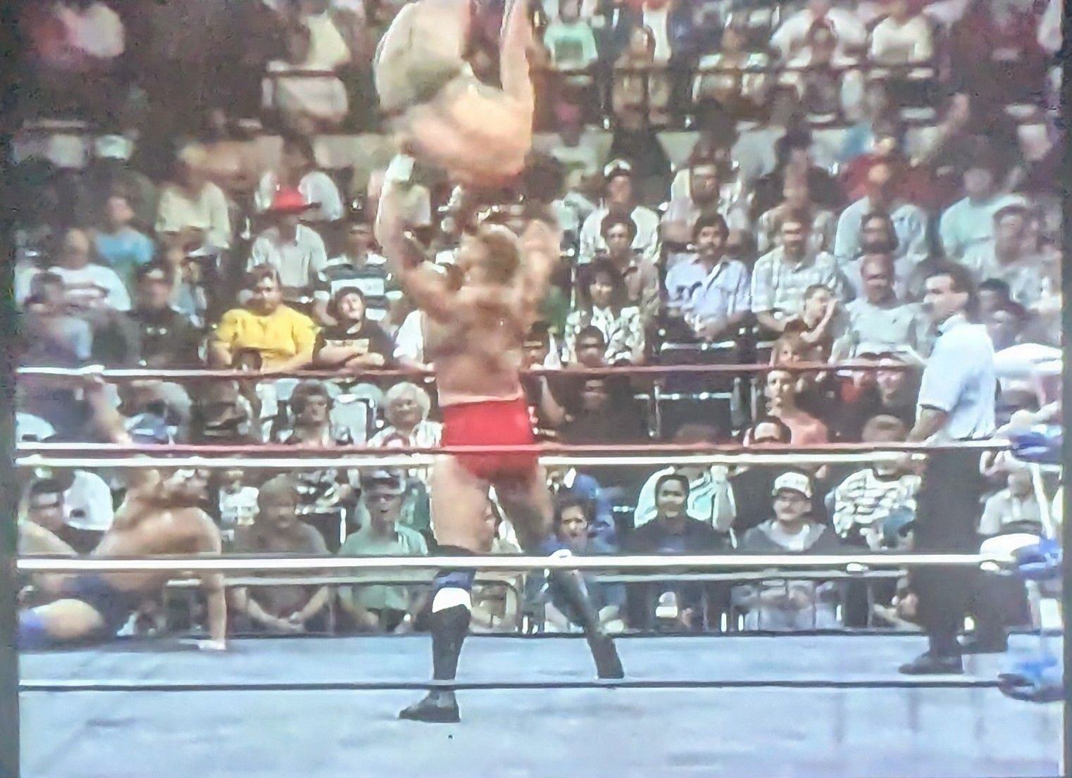 WCW legends Sid Vicious and Big Van Vader