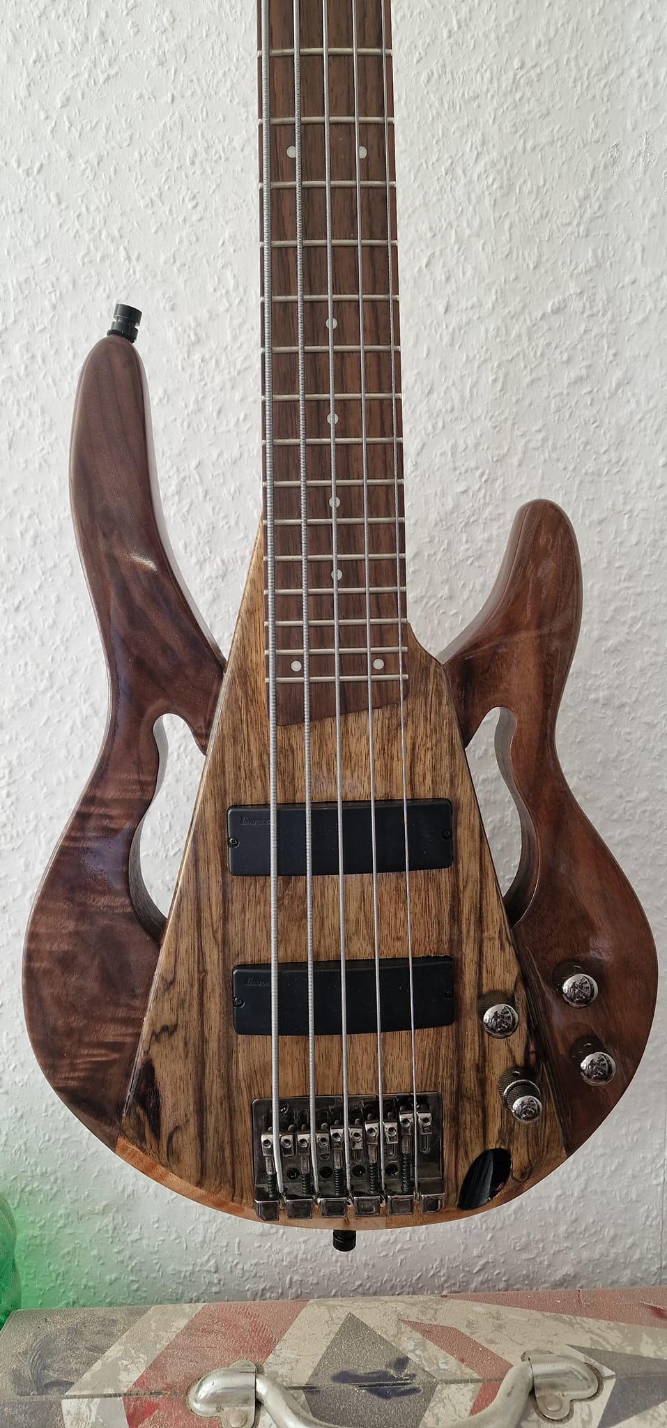 アイバニーズ　SDGR ベース　MOD Modified Ibanez SDGR 5-string bass guitar