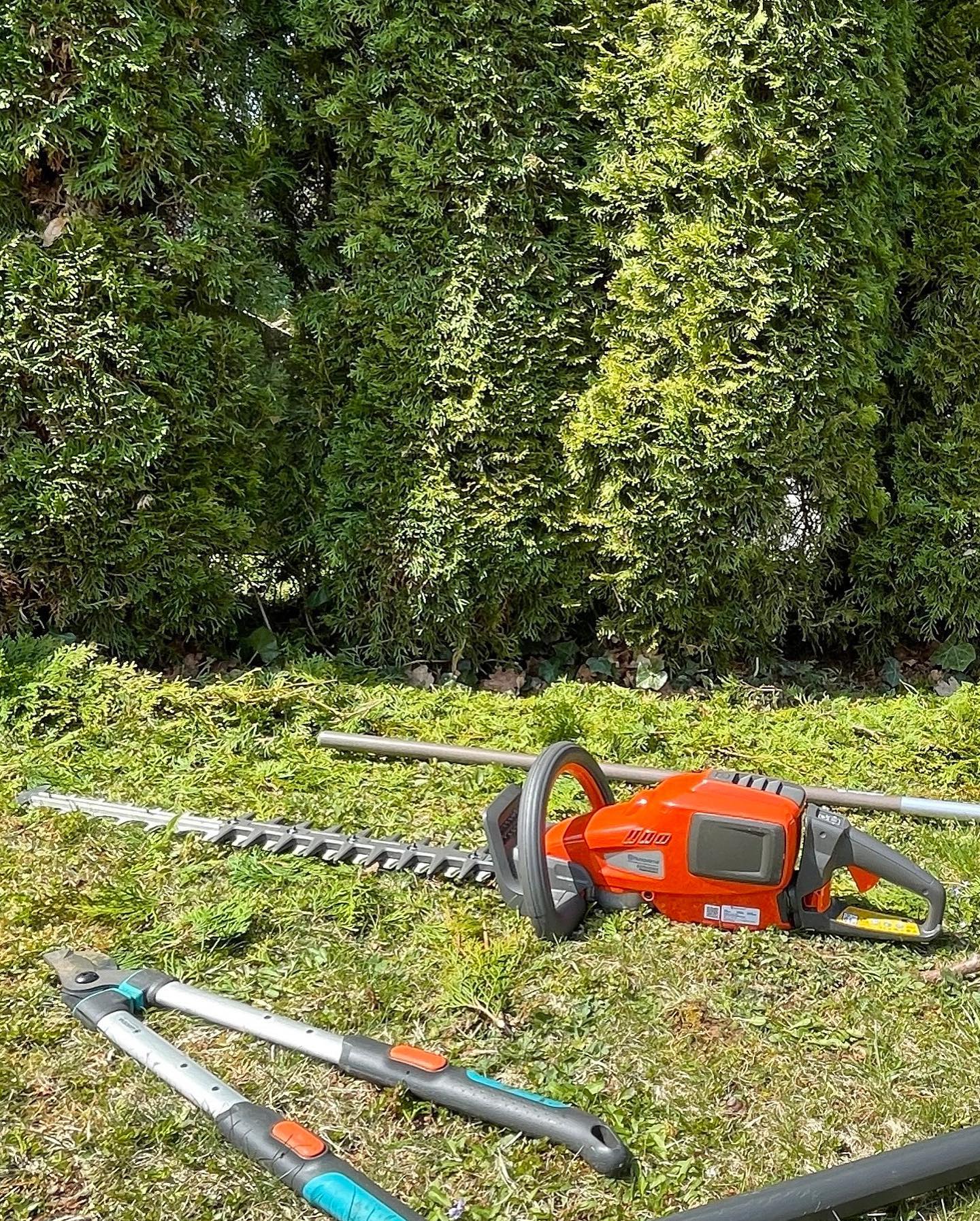 MAVIK arboristika | Kranj