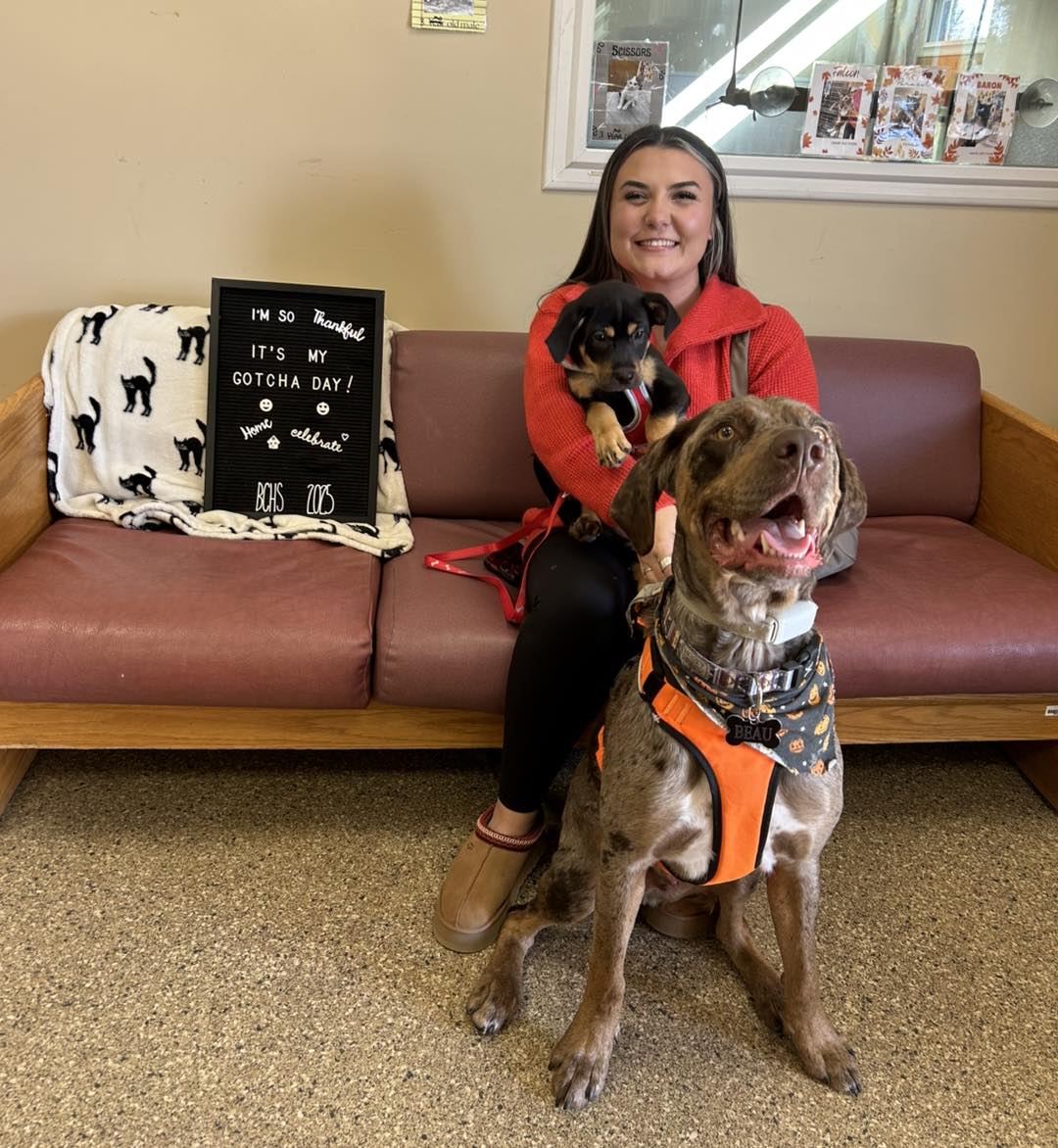 Bedford County Humane... - Bedford County Humane Society
