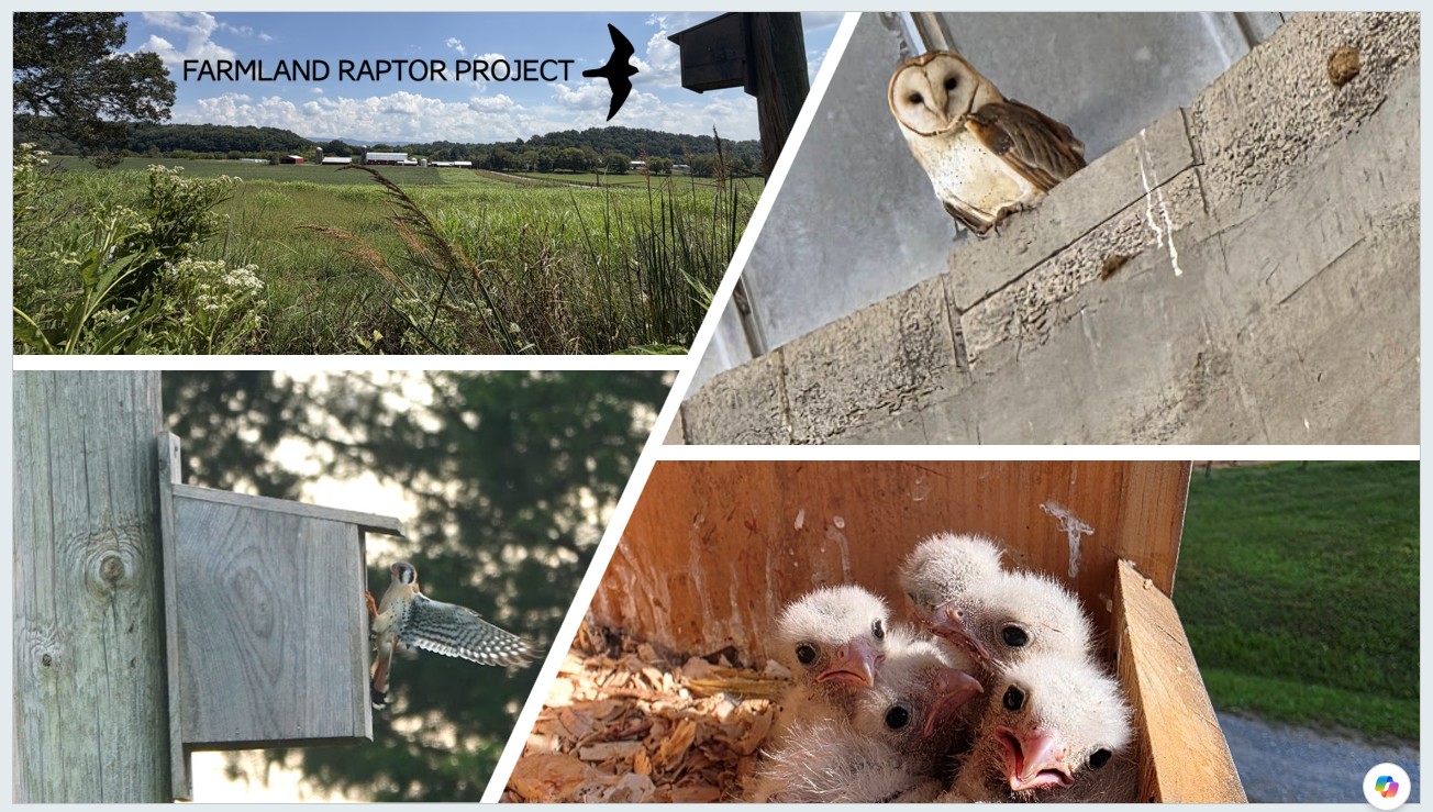 Farmland Raptor Project's Grant Award Kick Off and Workshop