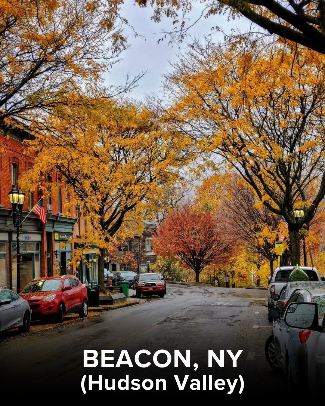 Here's where to see gorgeous foliage in NY this week! 🍂 Check out