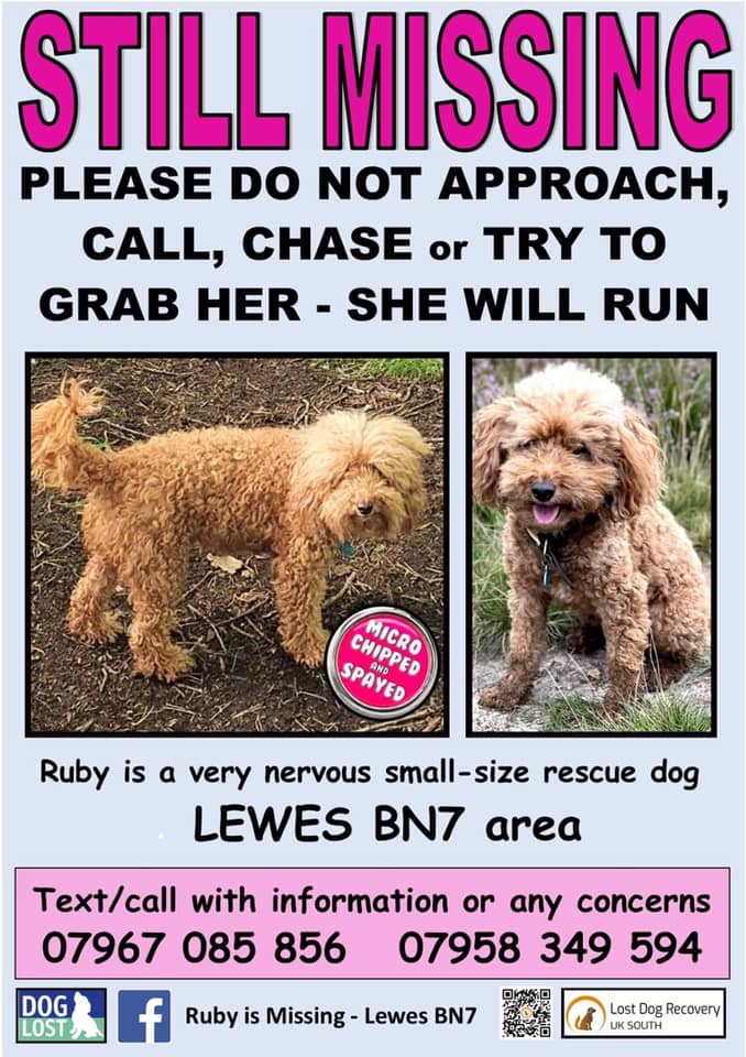 Ruby is Missing - Lewes BN7
