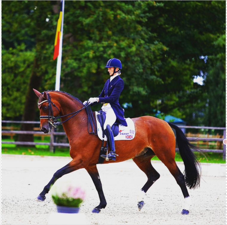 🌟 Dressage Clinic with Stef... - Hartpury Equine Events | Facebook