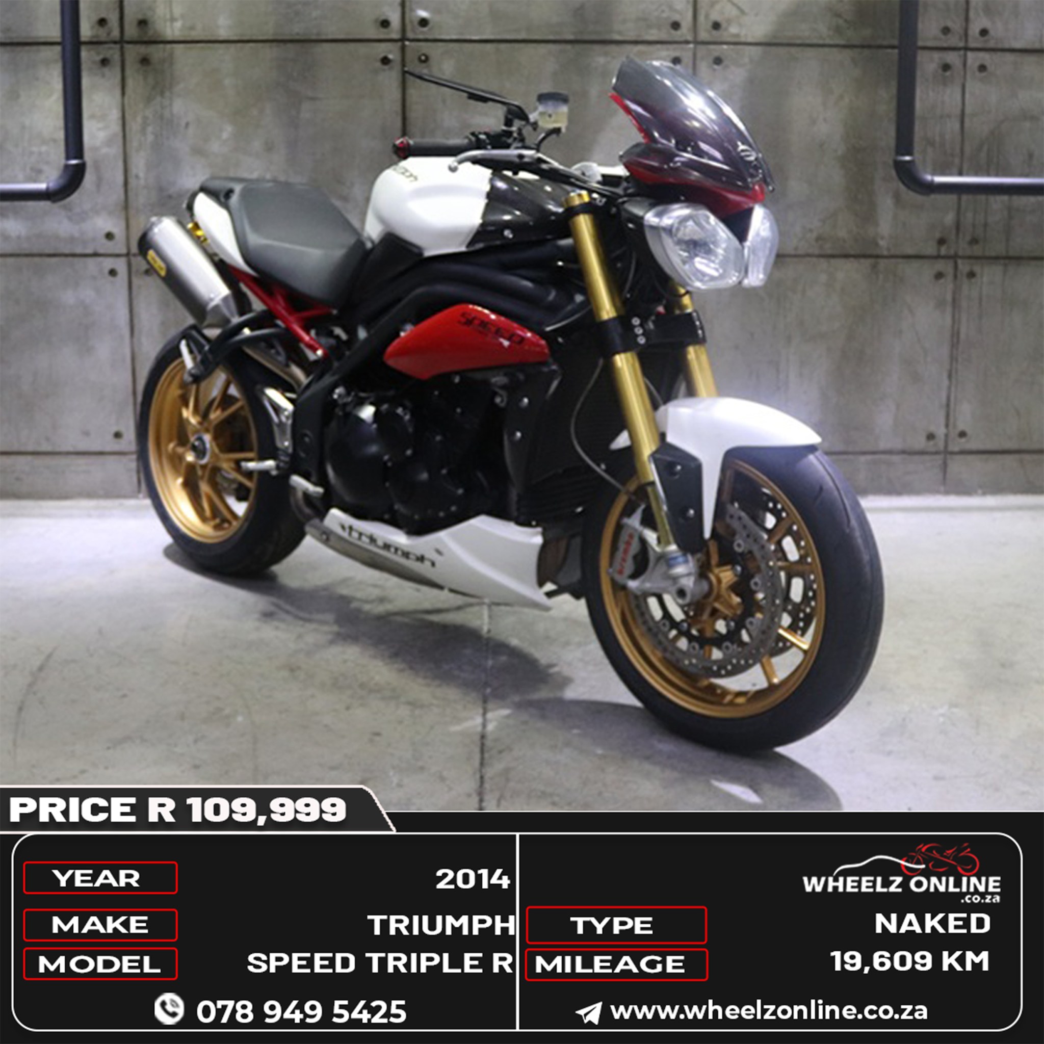 🐅 THE HINckLEY HOOLIGAN – TRIUMPH SPEED TRIPLE R The original