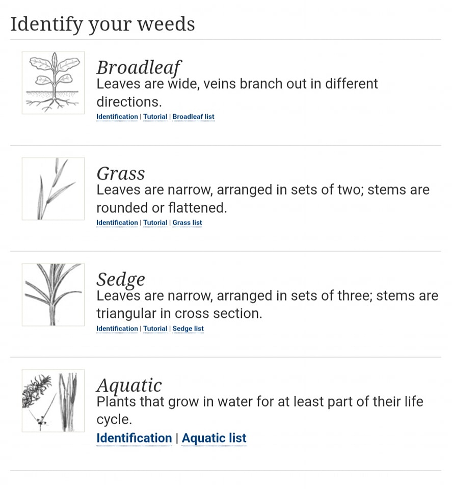 Can't identify a... - UC Sacramento County Master Gardeners | Facebook